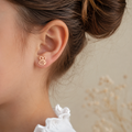 Honey Bee Studs